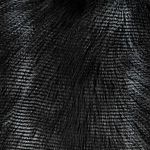 Black Faux Fur