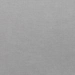 Silver Grey