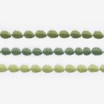 Palm Green