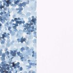 Chiaro Classic White/Arcus Blue