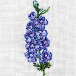 July-Larkspur