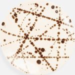 Salad/Dessert Plate - Bronze Splatter