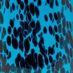 Blue Tortoise