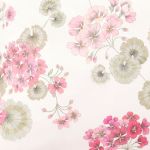 Pink Coral Geranium