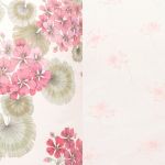 Pink Coral Geranium/Small Pink Geranium