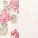 Pink Coral Geranium/Small Pink Geranium