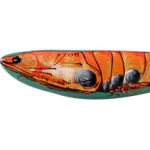 Tiger Sardine