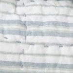 Pacific Blue Stripe