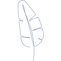 fuchsia monogram ikat