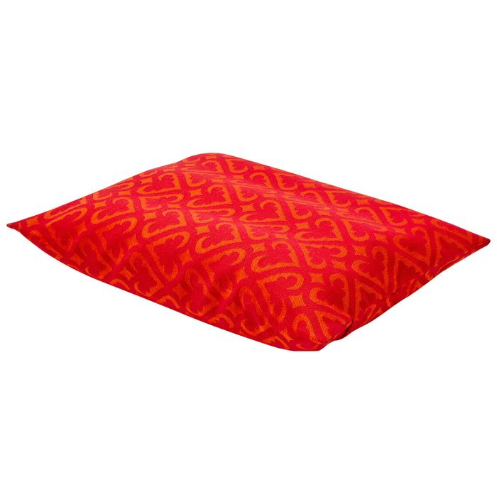 Red - Beach Cushion