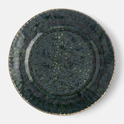 Bria by Blue Pheasant Dinner Plates