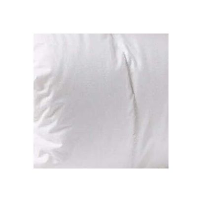 Winter Weight Down by Coyuchi Duvet Insert