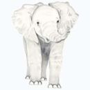 Elephant Linen