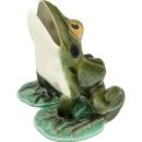 Large Frog with Open Mouth