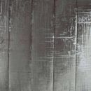 Silver Velvet/Silver Print