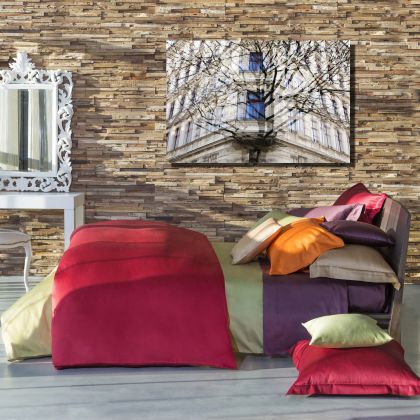 Raffaello By Signoria Firenze