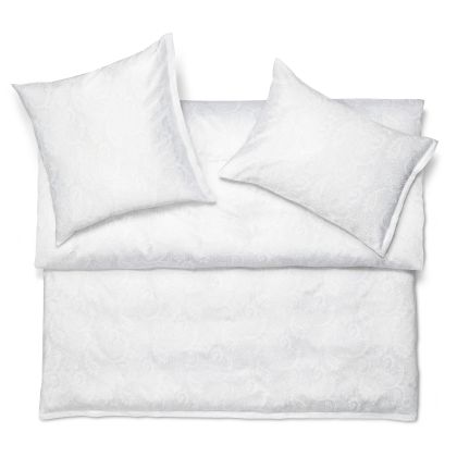 Paisley by Schlossberg