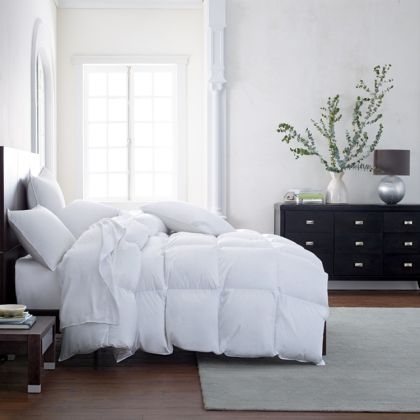 Vienna Down Comforter by Scandia Home