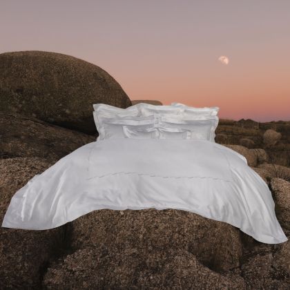 Fern by Celso de Lemos