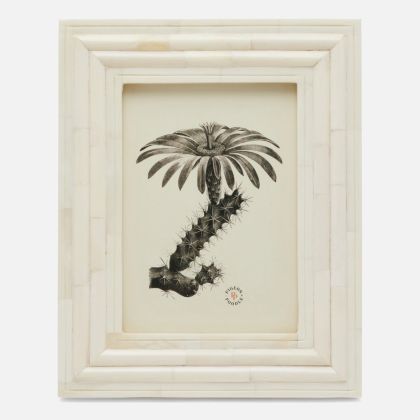 Novara Frame by Pigeon & Poodle
