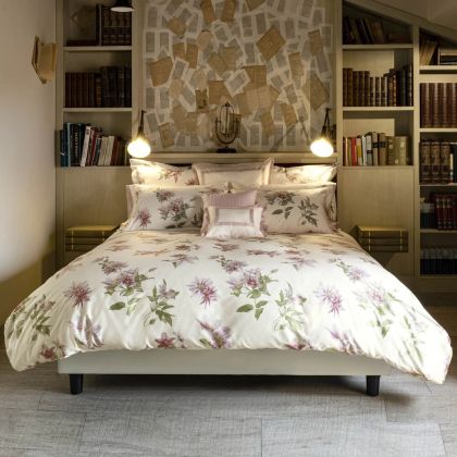 Clematis By Signoria Firenze