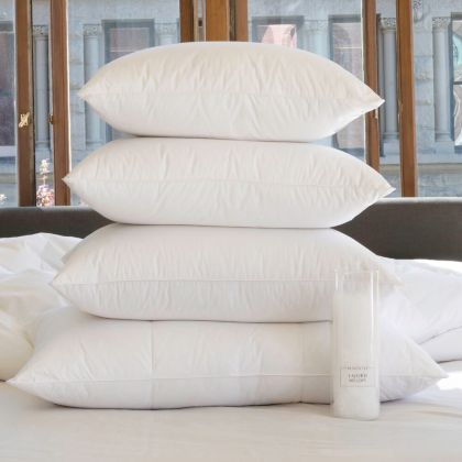 Lajord Canadian Down Pillow by St. Geneve