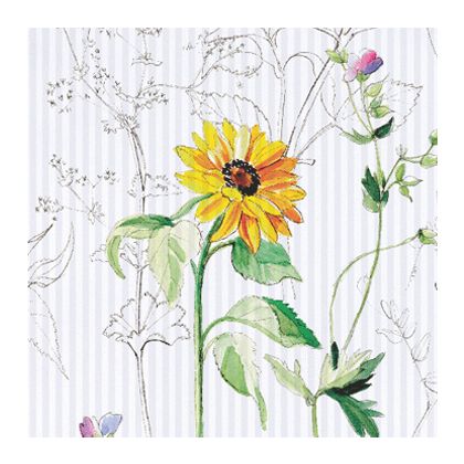 Nature Stripe by Christian Fischbacher Queen Duvet Cover 90x91