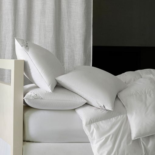 Cardigan Down Pillows by Sferra