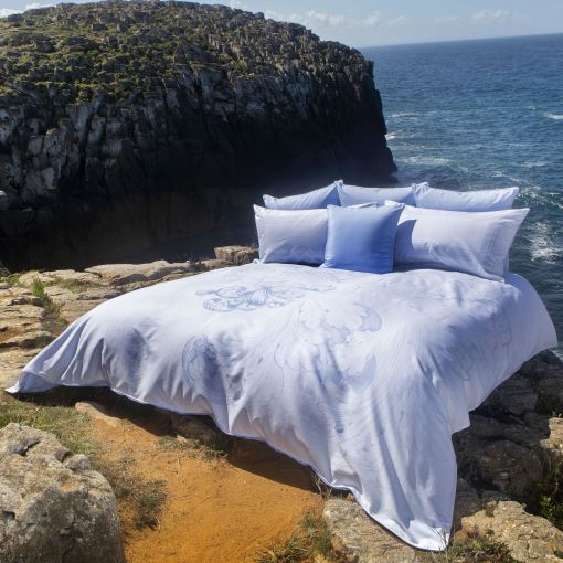 Exquise by Celso de Lemos