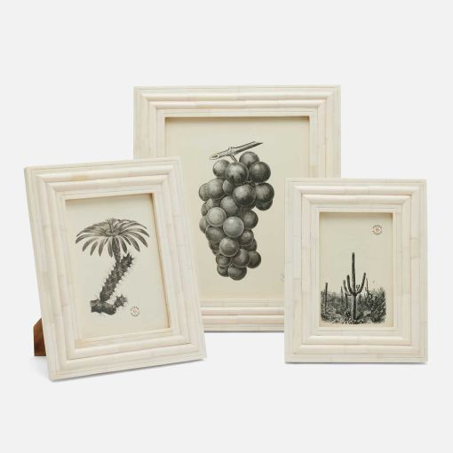 Novara by Pigeon & Poodle Frame