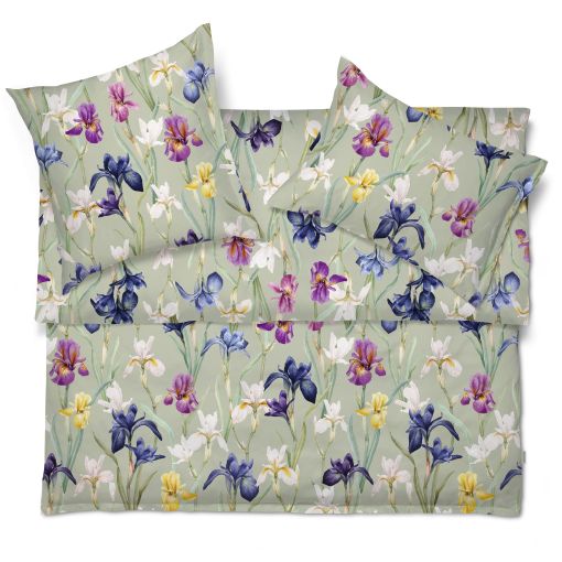 Charlotte by Schlossberg