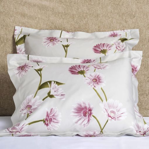 Gerbera by Signoria Firenze Shams
