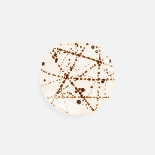 Delaney Plate by Blue Pheasant