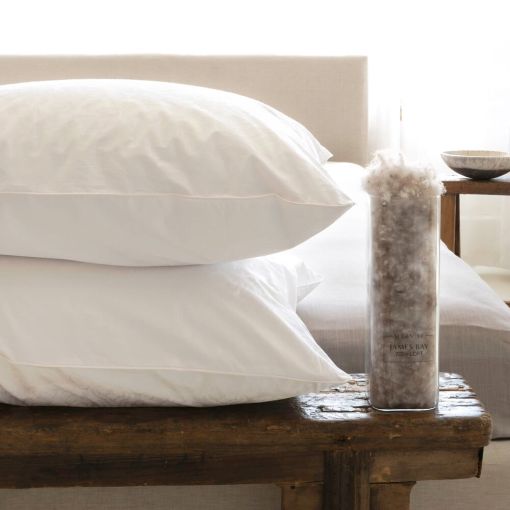 James Bay Down Pillow by St. Geneve