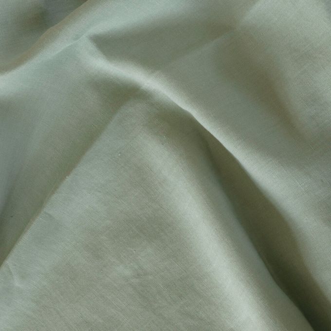 Eucalyptus
