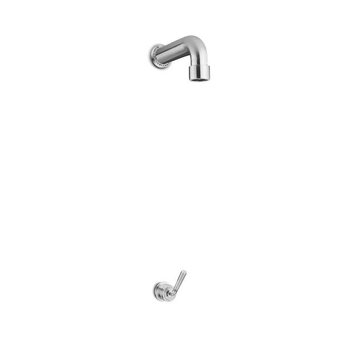 Stainless Steel Brushed