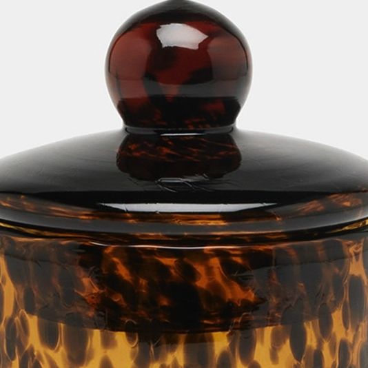 Tortoise Shell