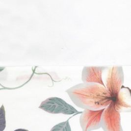 01/01 White/White/Multicolor