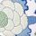 Viridan/Blue