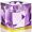Purple/Yellow