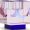 Rose/Pale Blue/Blush/Cobalt