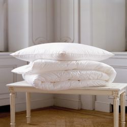 Down Comforters