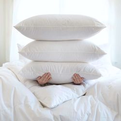 Down Pillows By St. Geneve