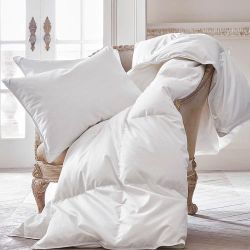 Peacock Alley Comforters & Pillows
