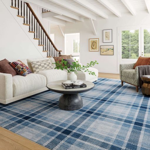 Washable Rugs by Dash & Albert