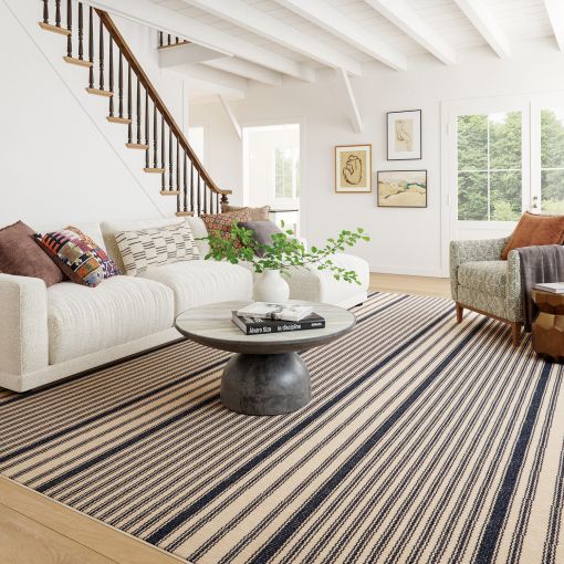 Striped Rugs by Dash & Albert