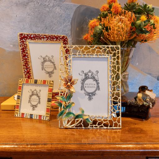 Frames by Olivia Riegel