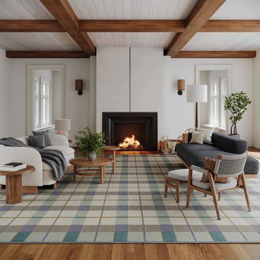 Outdoor/Indoor Rugs by Dash & Albert